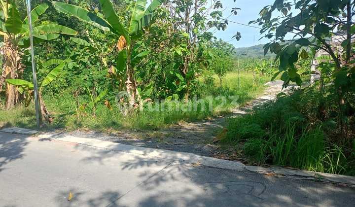 Tanah Dijual SHM Hak Milik di Rowosari Kec Tembalang Semarang Timur