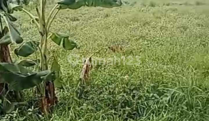 Disewakan Tanah Lokasi Bagus Dekat dengan Pelabuhan Sanur, Pantai Sanur,Rumah Sakit Internasional dan Lapangan Renon Sangat Cocok Dibangun Hunian Pribadi