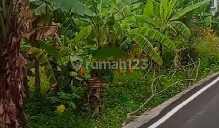 Land For Rent/Disewakan Tanah Lokasi di Sekar Jepun Vi Luas Tanah 12 Are