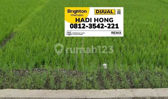 Jual Tanah 4000m2 Area Gunung Gedangan Kota Mojokerto