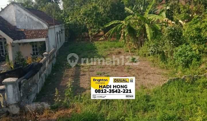 Dijual Tanah Luas 440 M2 di Kec Kesamben Kab Jombang