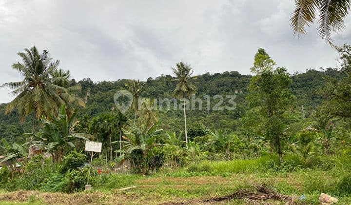 Lahankosng Dijuallokasi Strategis