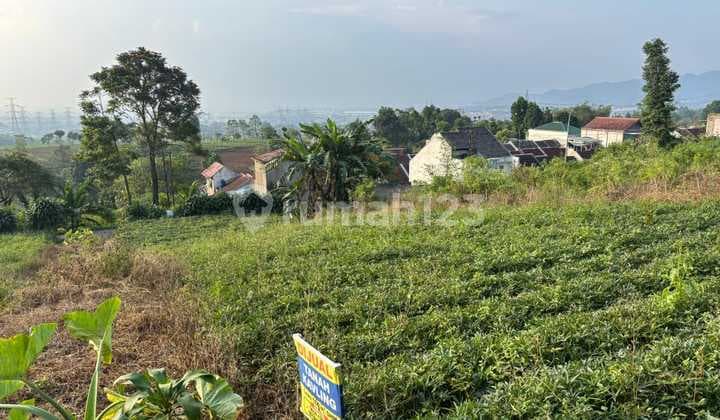 Selling Vacant Land in Sayap Jagabaya Area. Main Road Banjaran-Pangalengan
