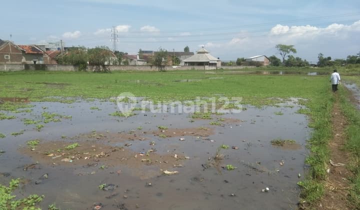 Jual Tanah, Sawah Dan Kebun Mairnoad Majalaya- Cicalengka Jawa Barat