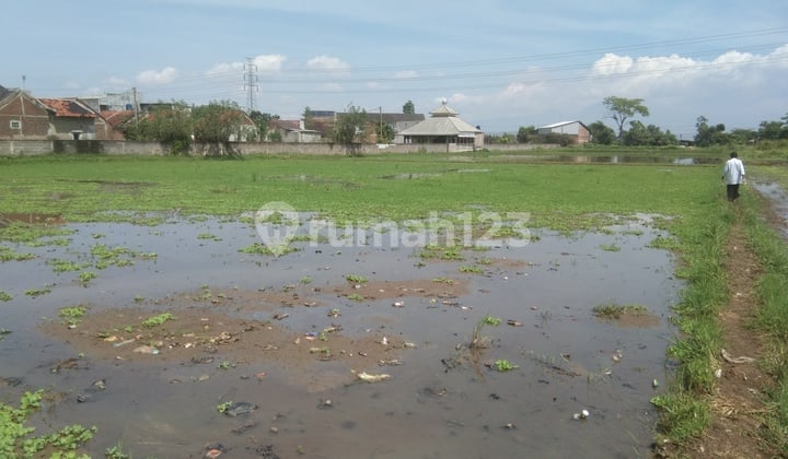 Jual Tanah, Sawah Dan Kebun Mairnoad Majalaya- Cicalengka Jawa Barat