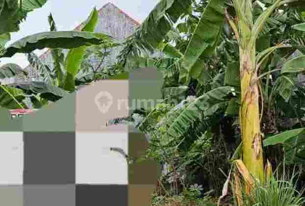 Taman Pinang Indah Sidoarjo