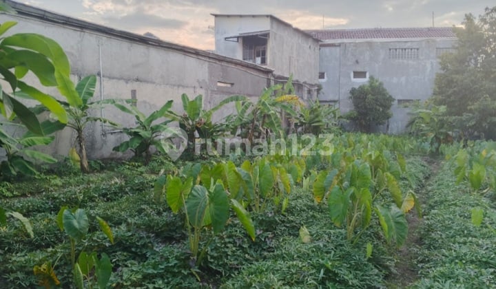 Tanah Jual Murah di Ciomas Bogor Siap Bangun