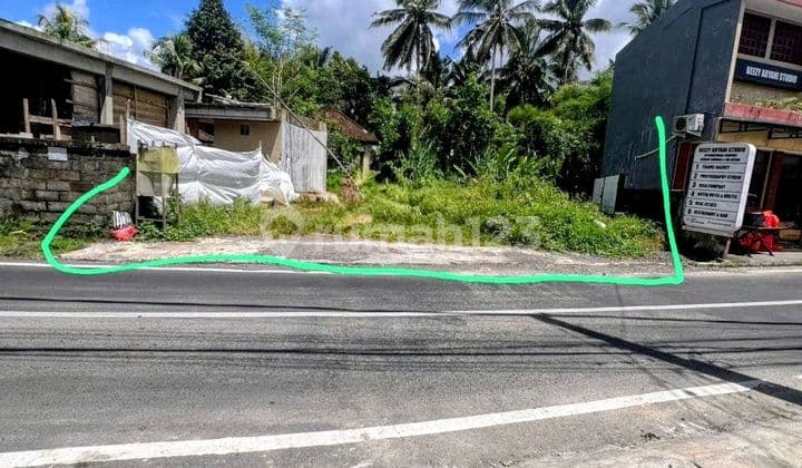 Land For Lease 2 Are Suweta Ubud