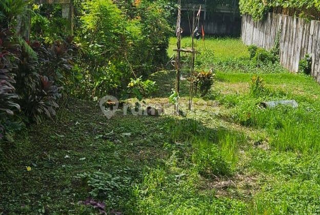 Land For Lease7are Bisma Ubud