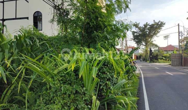 Land 14 Are -Zone Yellow -Pererenan