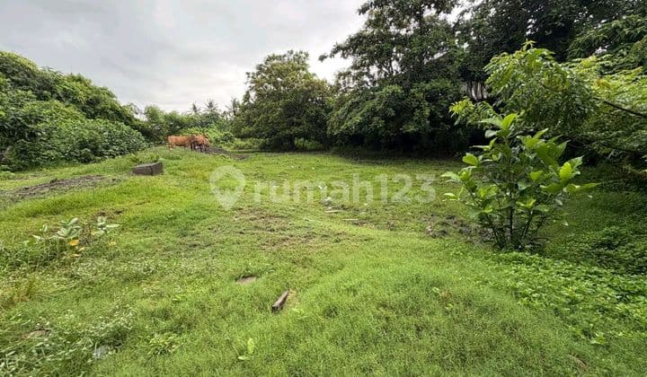 Pererenan 32,5 Are - Itr Pondok Wisata