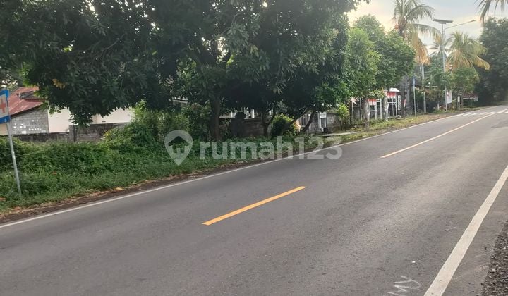 Tanah Dijual Di Jalan Raya Seririt Gilimanuk