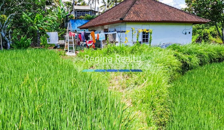 Dijual Bangunan dan Tanah, Ubud Bali