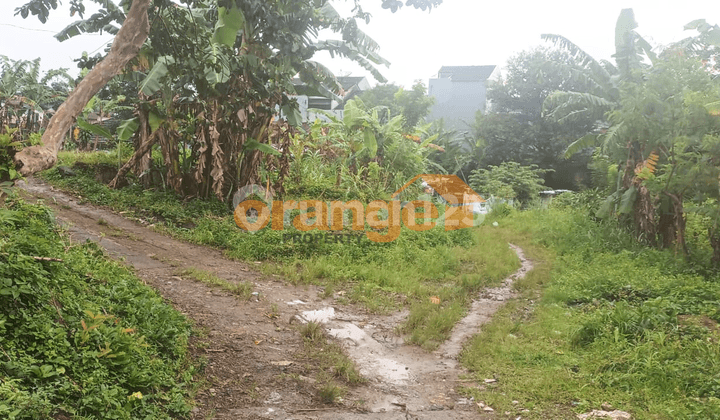 Di Jual Kavling Luas 7.200 M² di Sukabumi Jawa Barat