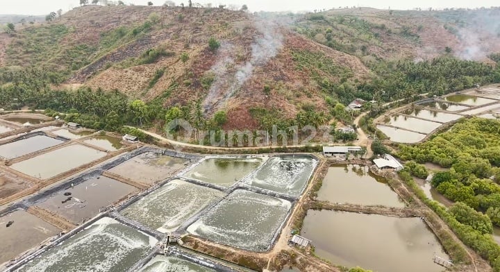 Selling Land 13.000M² At Teluk Awang, Lombok Tengah, Ntb