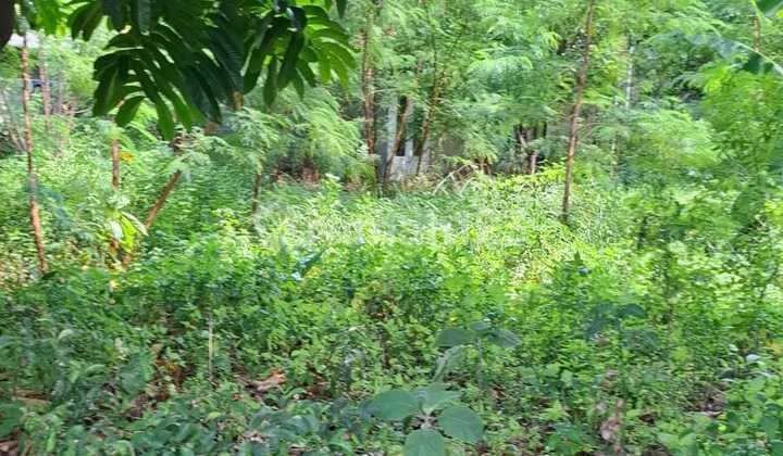 Miliki Investasi Tempat Tanah Kavling di Pondok Gede Jakarta Timur