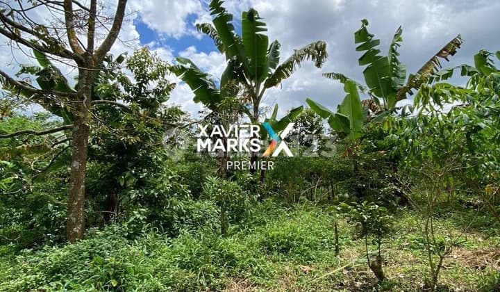 Jual Tanah Cepat Toyomarto Singosari