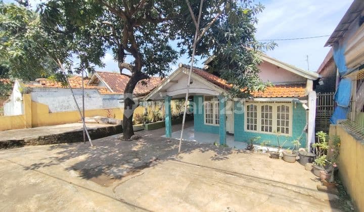 Jual Tanah dan Rumah Komersil || Jalur Propinsi Subang