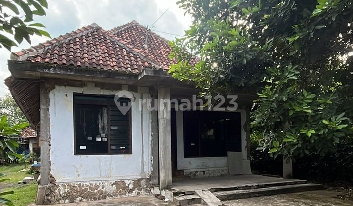 Rumah dengan Tanah Luas di Desa Serut, Pati
