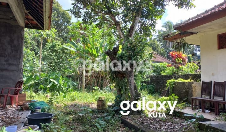 Dijual Rumah Dusun Pondok Kelod Selemandeg Tabanan, Bali