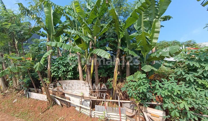 Tanah Kavling Strategis 538M2 di Grogol Limo - Dekat Pintu Tol & Bebas Banjir!