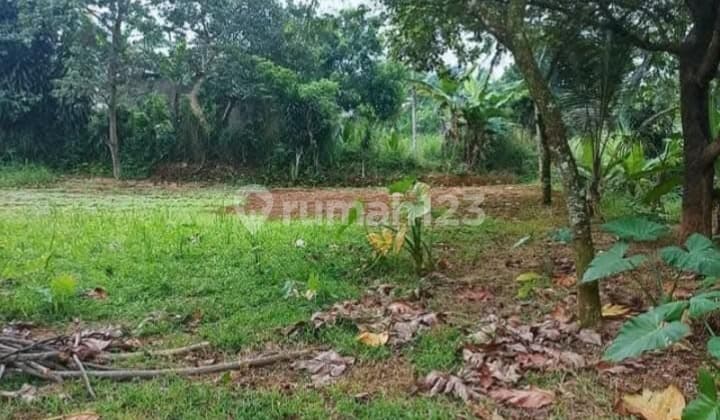 Tanah Murah Shm Akses 2 Mobil Di Tajur Halang Bogor