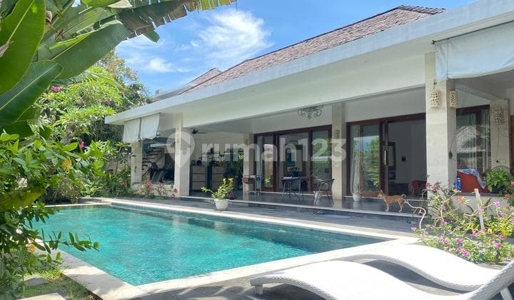 Villa Modern 3 Kamar dengan Kolam Renang - Bangunan Luas, Lokasi Asri Dekat Kota & 30 Menit ke Medewi