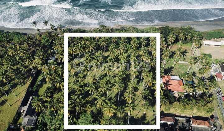 Surga Tepi Pantai yang Mutlak