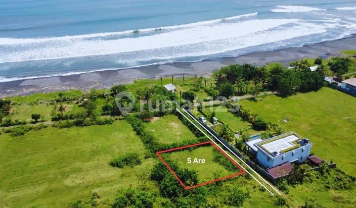 Tanah Ocean View 5 Are - Lokasi Dekat Pantai (±100M)