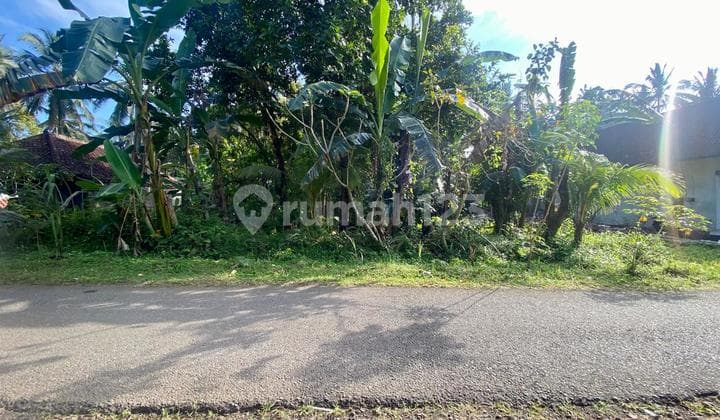 Properti Hutan Medewi yang Besar Berjarak 5 Menit Dari Pantai.