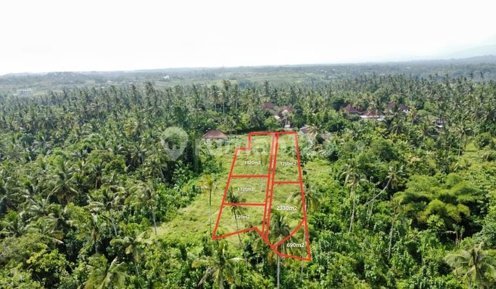 Dijual Tanah Bali View Sawah | Zona Bangunan & Lingkungan Tenang