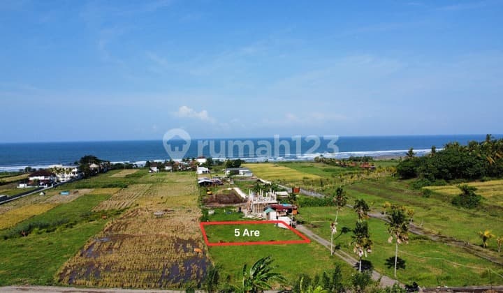 Tanah dijual 5 are di Medewi, Jembrana Bali