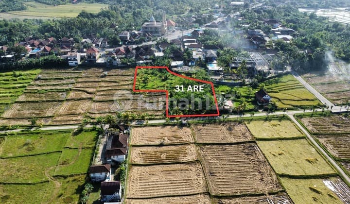 Tanah Pengembangan Dekat Pantai Medewi, Lokasi Strategis