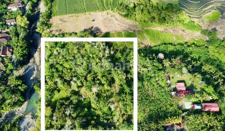 Tanah Eksklusif Tepi Sungai 5.000 M² SHM di Pantai Barat Bali