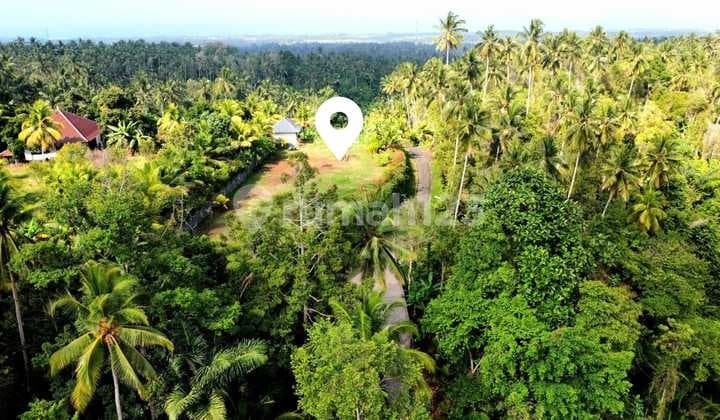 Land with Mountain and Ocean View in West Bali