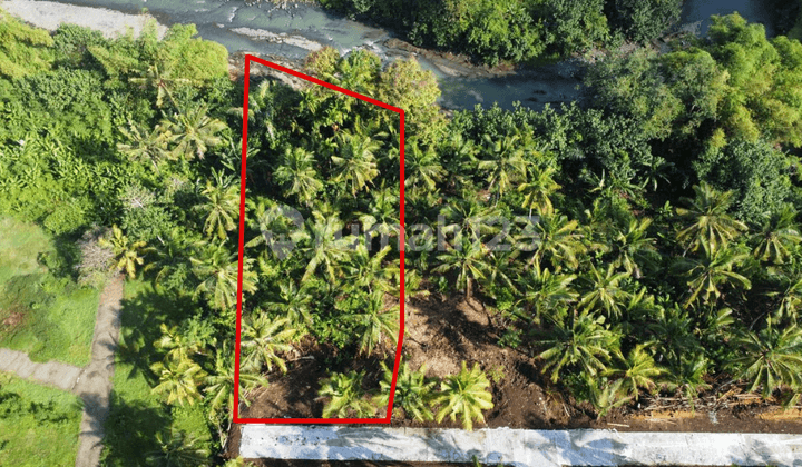 Lahan Sewa Medewi - 3 Menit ke Surf Point, Riverback