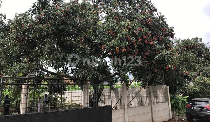 Di Jual Murah Kavling Di Belakang Mitra 10 Cibubur