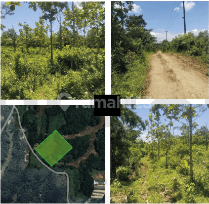 Sold Cheapest Yellow Zone Land in Curug Bitung, Lebak