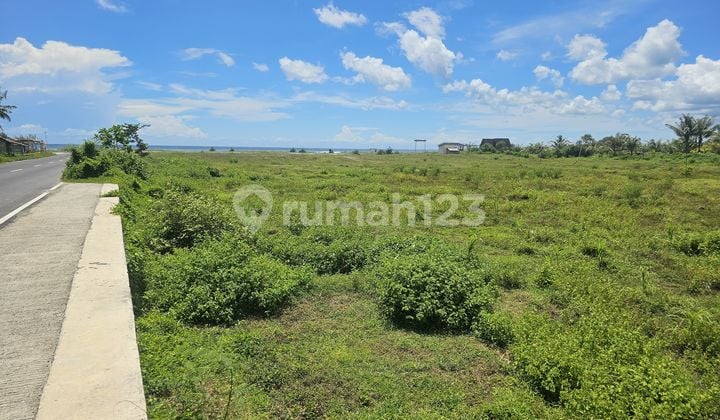 Tanah Luas di Area Pangandaran Potensi Investasi Menjanjikan