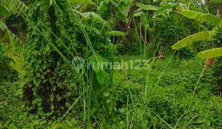 DIJUAL TANAH MURAH DURUNG BANJAR CANDI