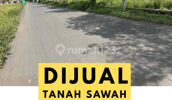 Dijual Tanah Sawah 3,5 Ha di Bekasi