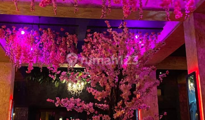 Hostel Mewah 3 Lantai Di Pusat Seminyak, Investasi Premium