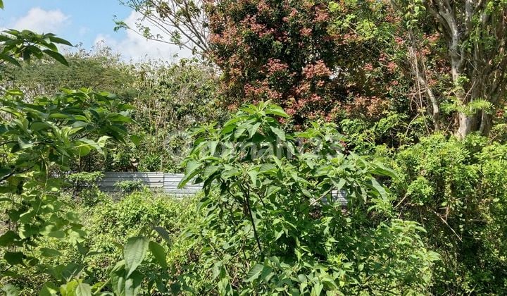 500m² SHM Land, Strategic Location in Bali