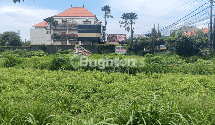 Disewakan Tanah Komersial Strategis 11 Are - Cocok untuk Usaha atau Pengembangan Pariwisata