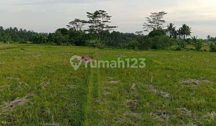 Tanah, SHM, di Abiansemal,