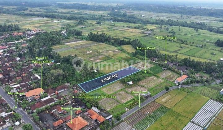 2900 M2 Tanah Dekat Sangeh Monkey Forest, di Mengwi