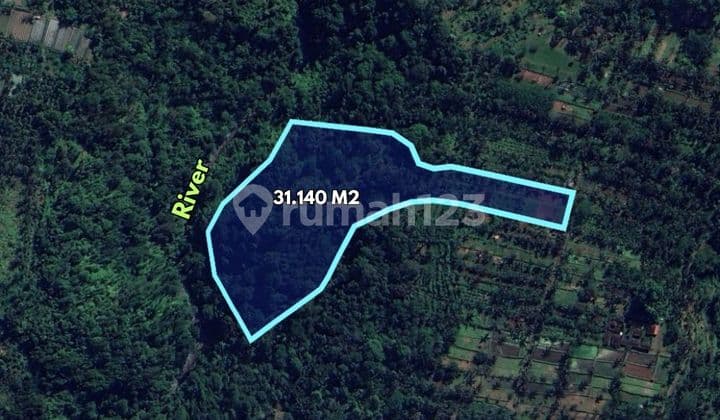 Tanah 31140 m2 dekat Pura Tirta Empul - Payangan, Gianyar