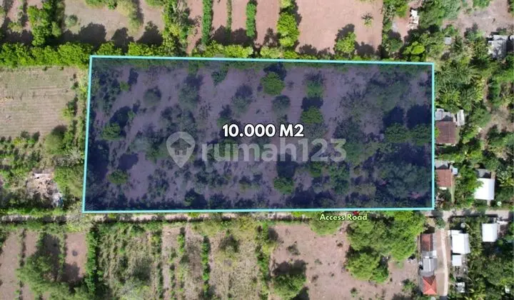 10.000 M2 Tanah Dekat Pantai Pemuteran - Buleleng, Bali