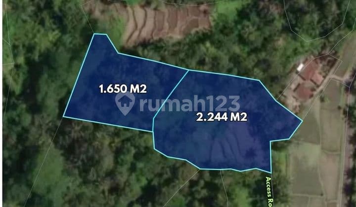 44 Are Tanah Dekat Happy Swing Bali Tegallalang, Gianyar - Bali