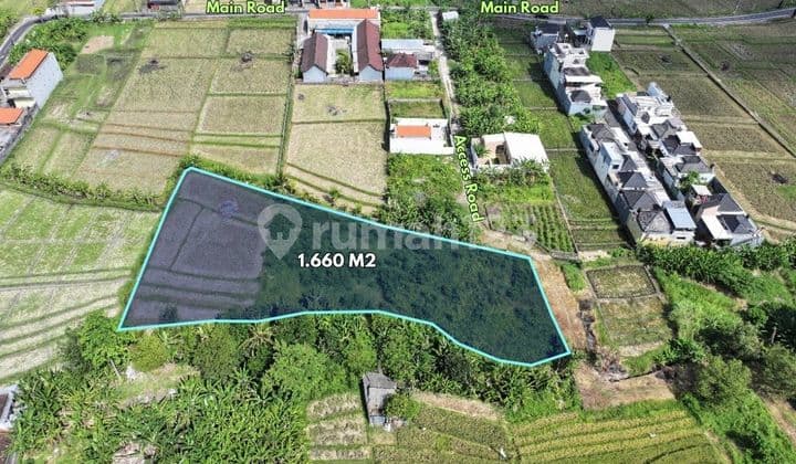 1660 m2 Tanah dekat DTW Tanah Lot - Belalang, Tabanan